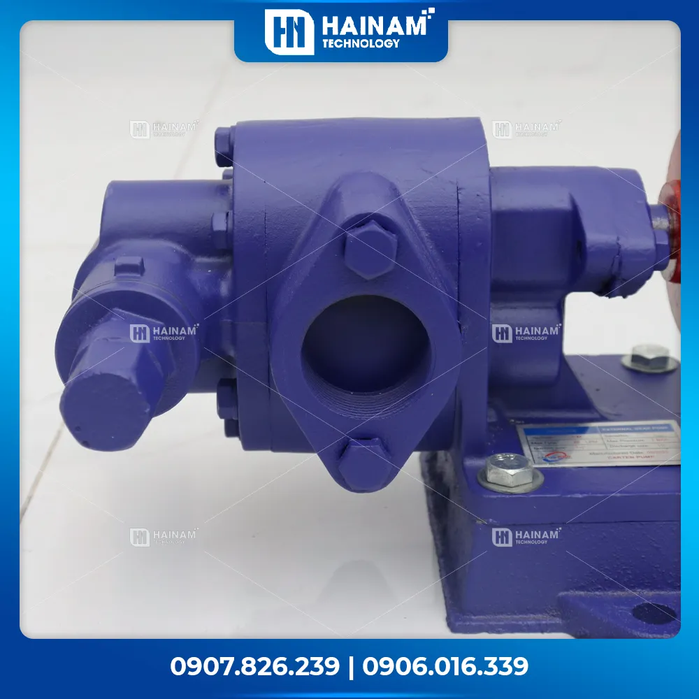 đầu bơm bánh răng hlg60-fc-pk