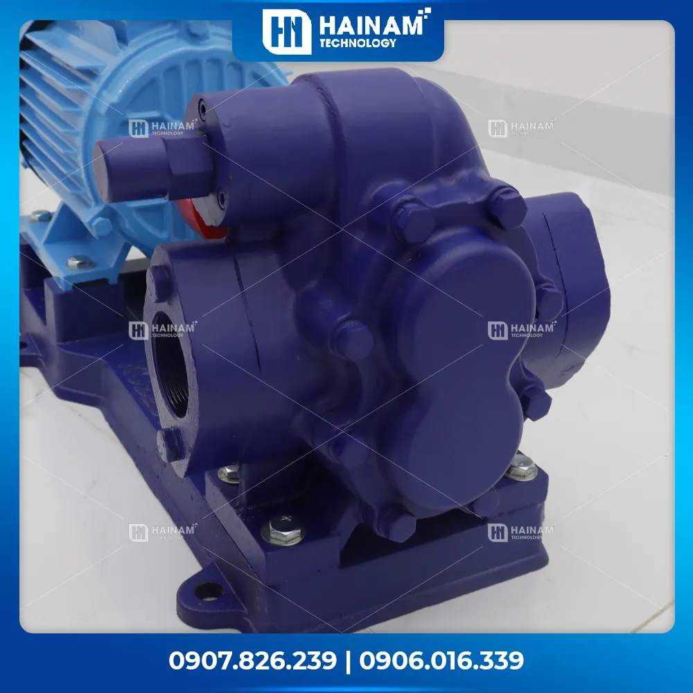 đầu bơm bánh răng hlg80-fc-pk