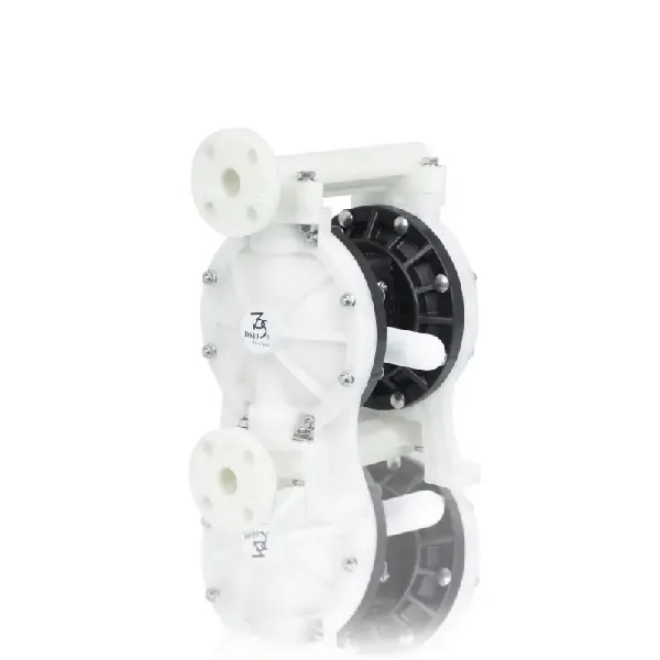 tds ds10