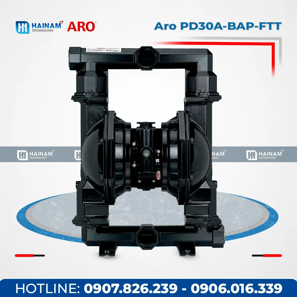 Bơm Màng Aro PD30A-BAP-FTT