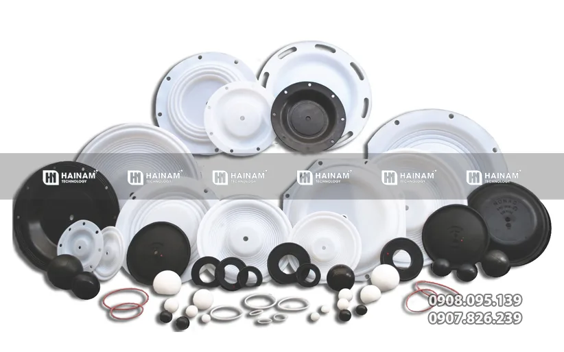 Đặc điểm nổi bật bơm màng TDS14