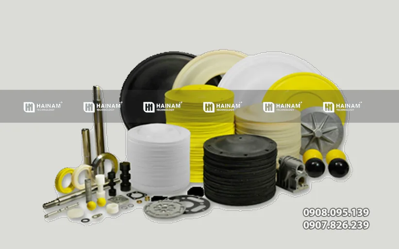 Phụ tùng bơm màng TDS DS06