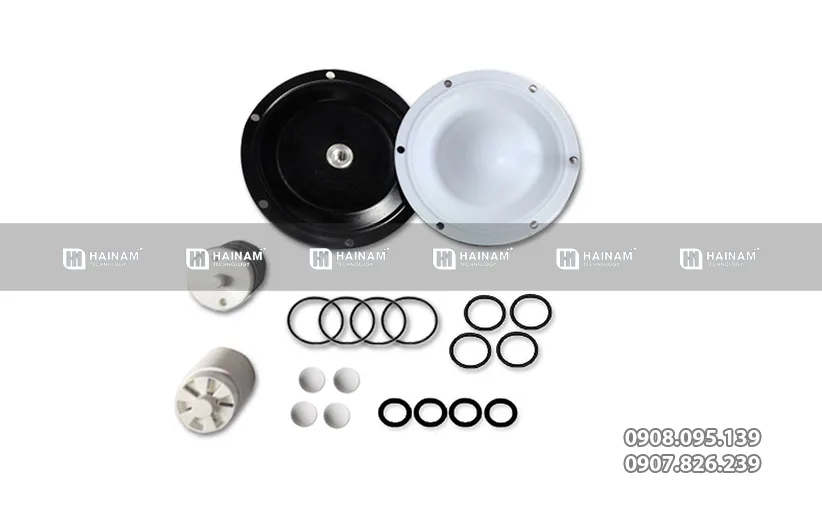 Phụ tùng bơm màng Verderair VA15