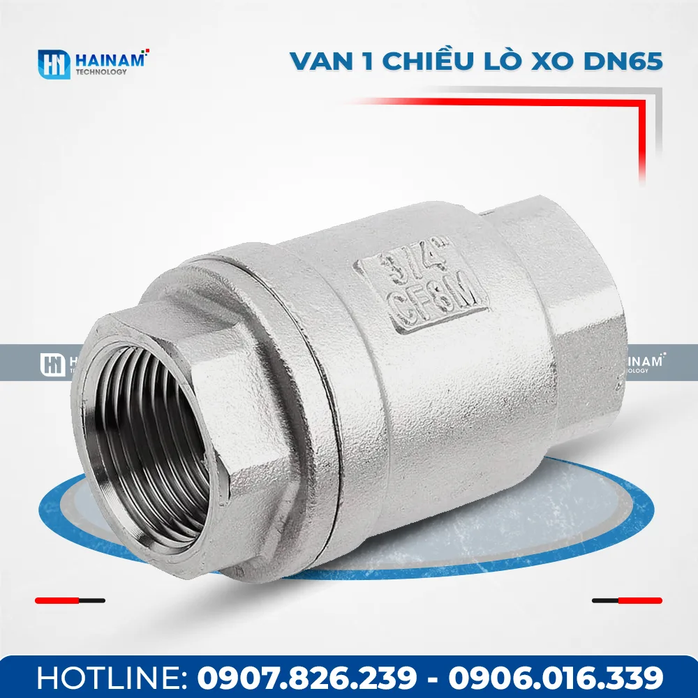 Van 1 chiều lò xo DN65