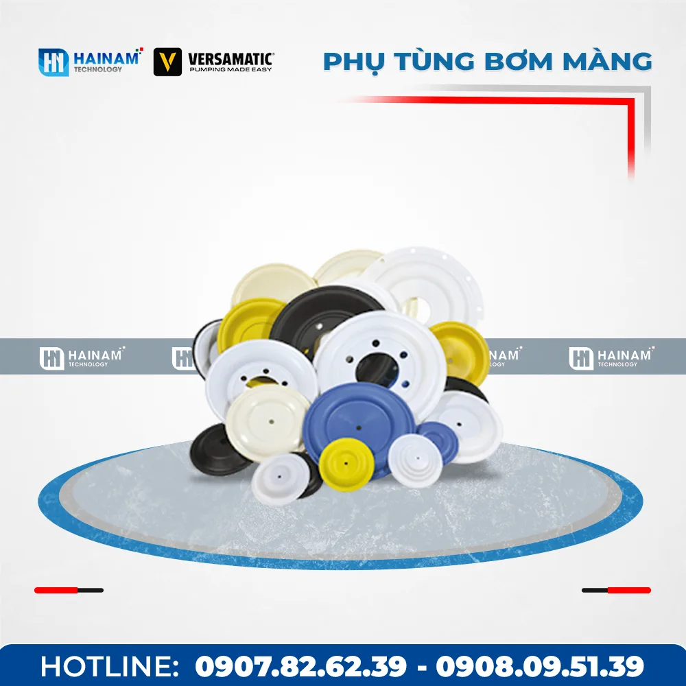 Phụ tùng bơm màng Versa Matic