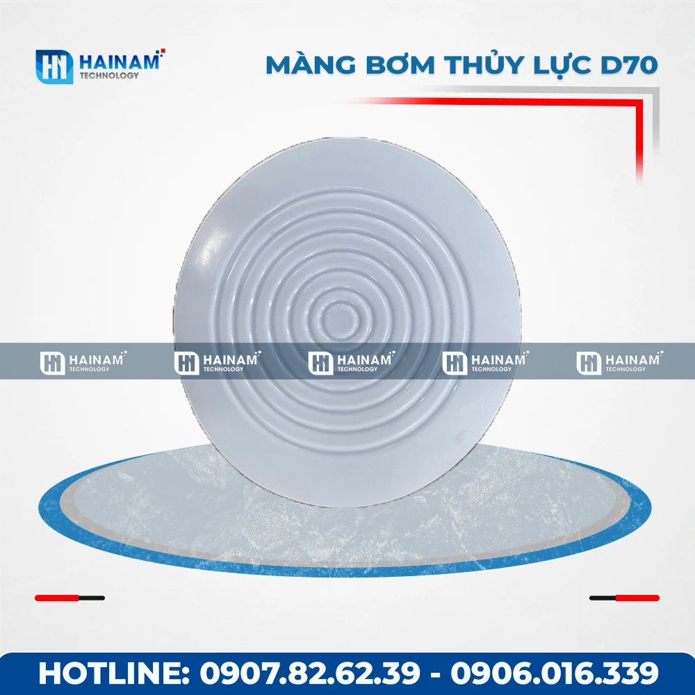 MÀNG BƠM THỦY LỰC D70