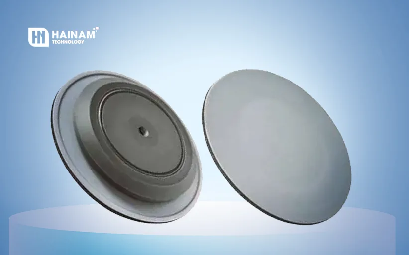 Phụ tùng bơm màng verderair: màng bơm