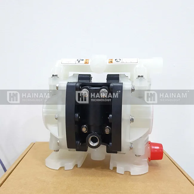Sản phẩm máy bơm màng bàn giao tại Bình Dương