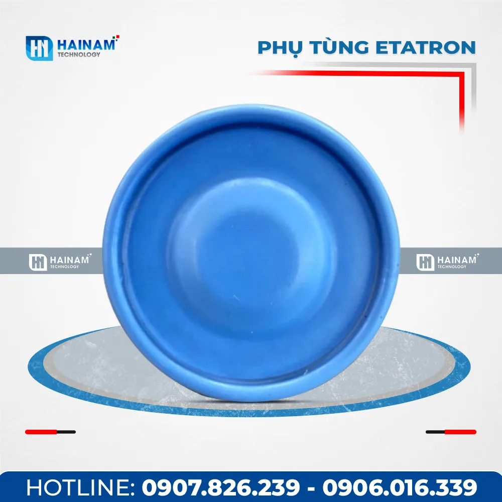 PHỤ TÙNG BƠM ETATRON