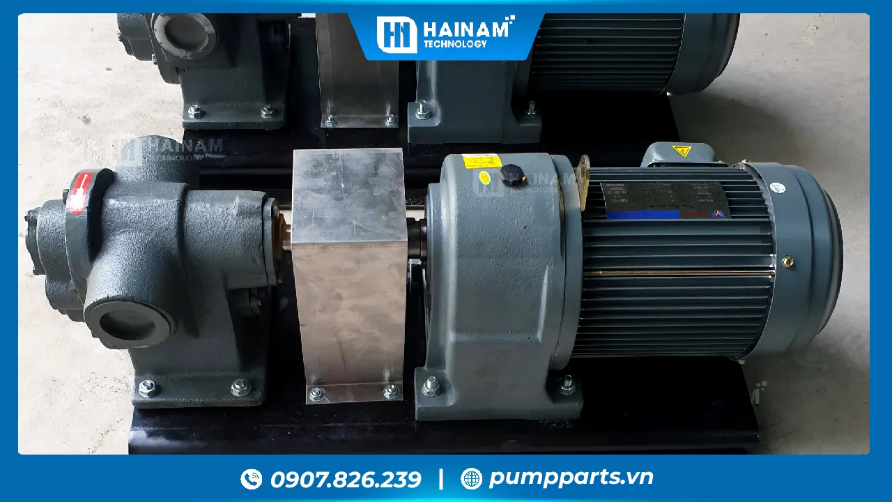 bơm bánh răng inox