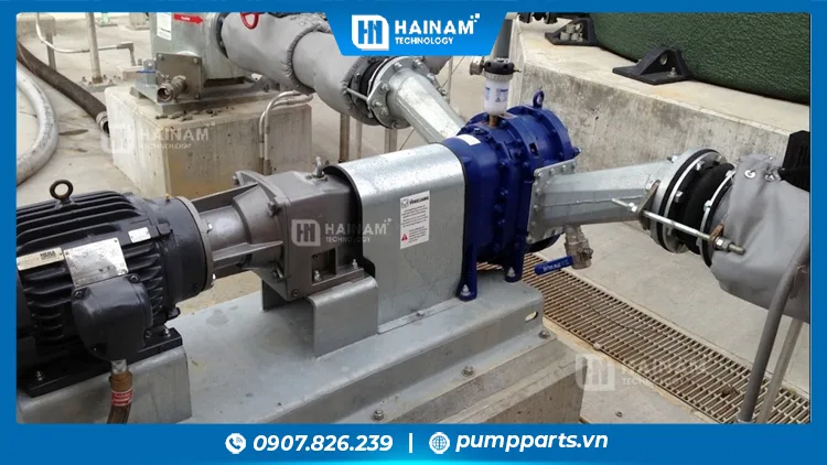 cần kiểm tra thường xuyên bơm cánh khế