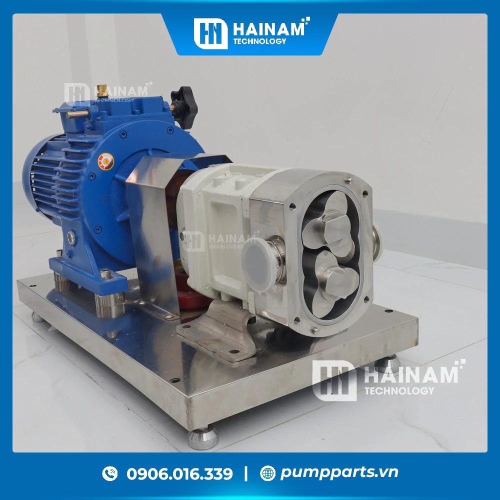 khoang bơm của bơm cánh khế thực phẩm