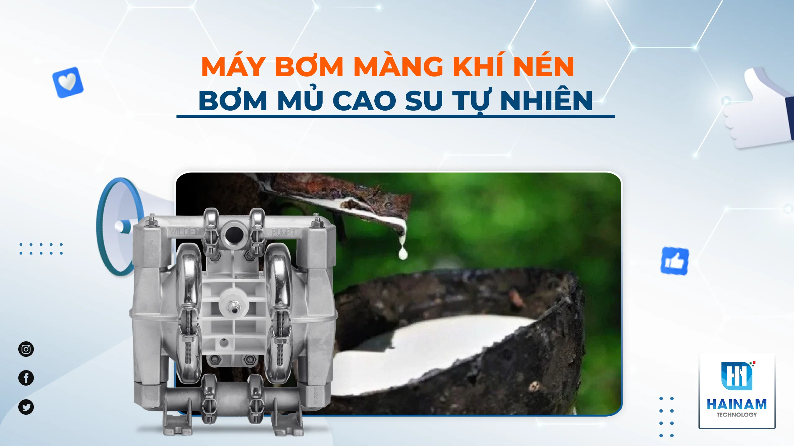 Bơm Màng Dùng Để Bơm Mủ Cao Su – Hiệu Quả, An Toàn, Bền Bỉ 2025
