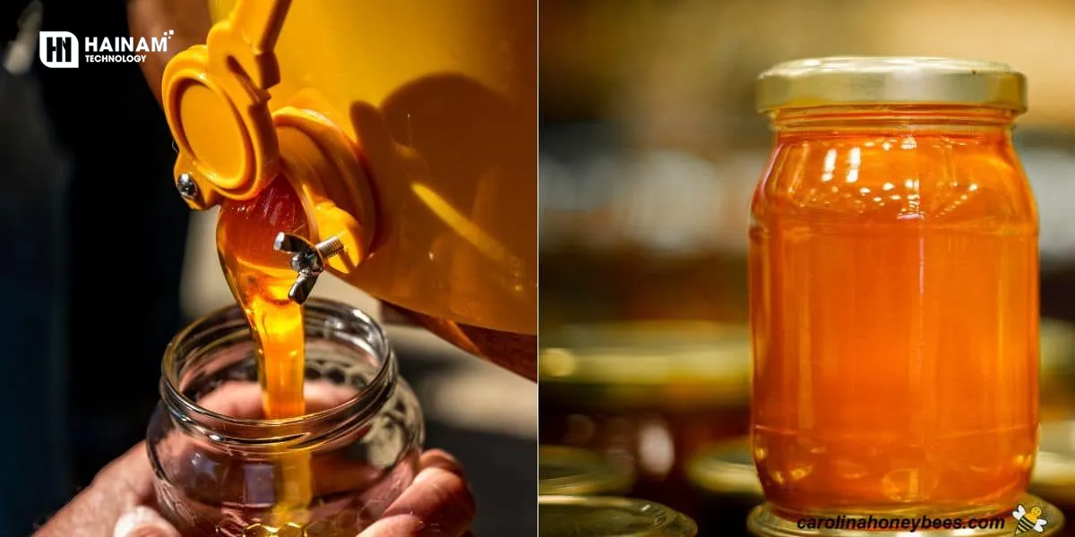 bơm cánh khế bơm chất đặc