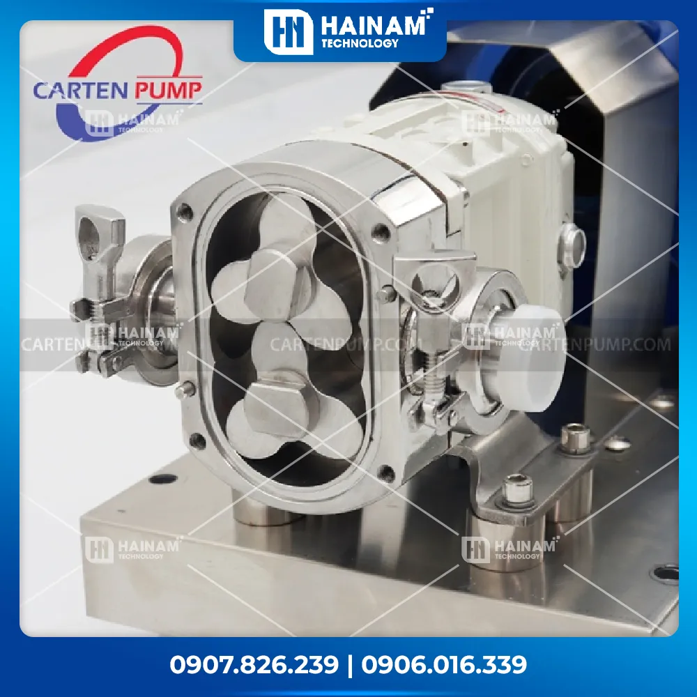 bơm cánh khế thực phẩm carten